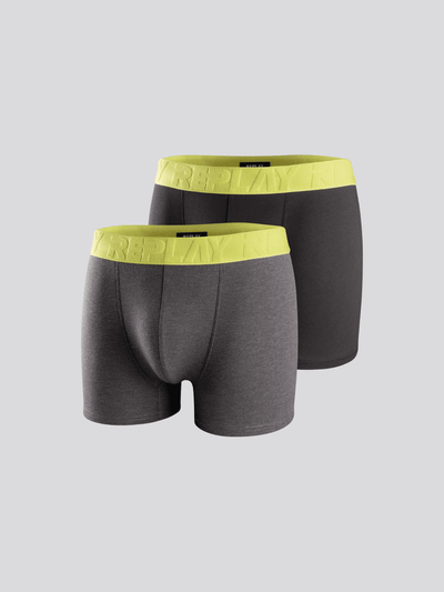 REPLAY SET OF TWO BOXER BRIEFS